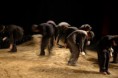 /album/basta-un-p%c3%b2-di-silenzio%21/andrea-teatro-30-03-08-0001-jpg/